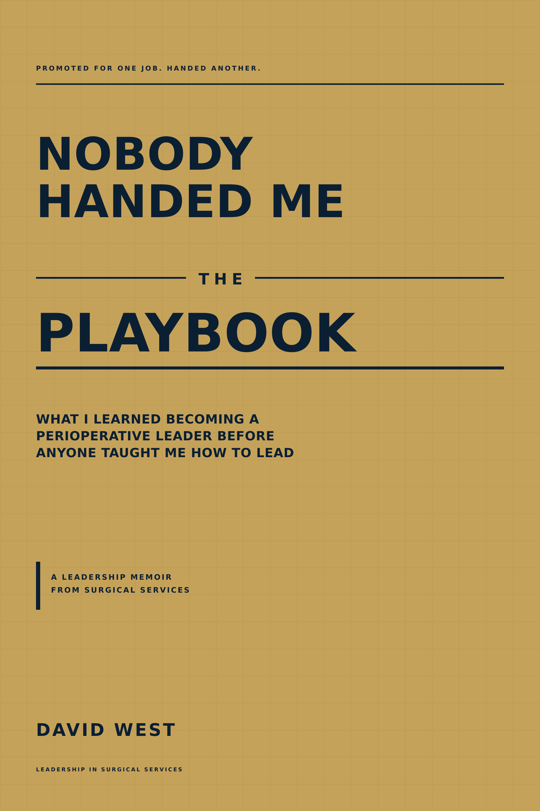 Front cover of Nobody Handed Me the Playbook by David West