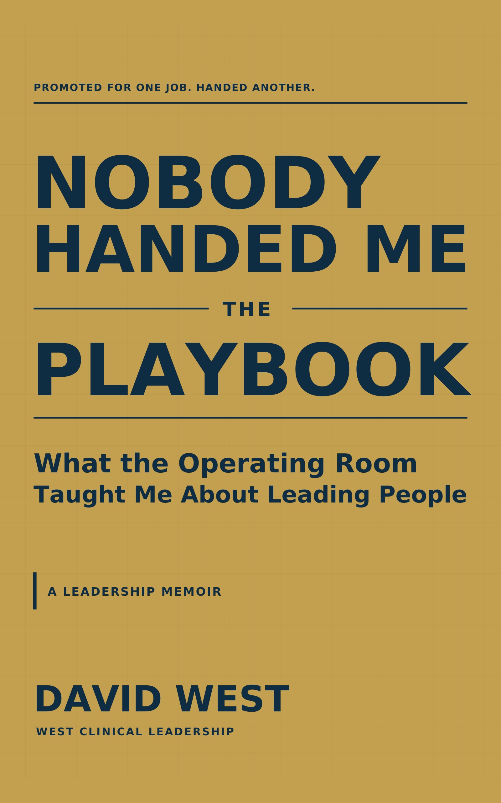 Nobody Handed Me the Playbook cover